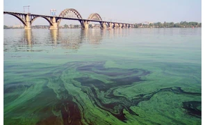 Причины цветения воды: в водоеме, в кулере