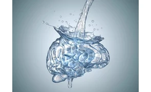 Питьевая вода и ее значение для мозговой активности человека