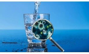 Чем опасны вирусы и бактерии в питьевой воде