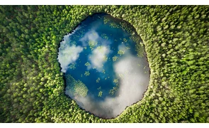 Как на Земле появилась вода? 